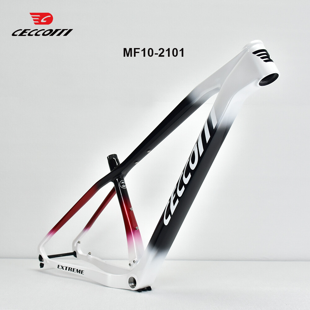 Cadre de vélo VTT CECCOTTI 29e - Mountain Biking In The Uk avis et prix