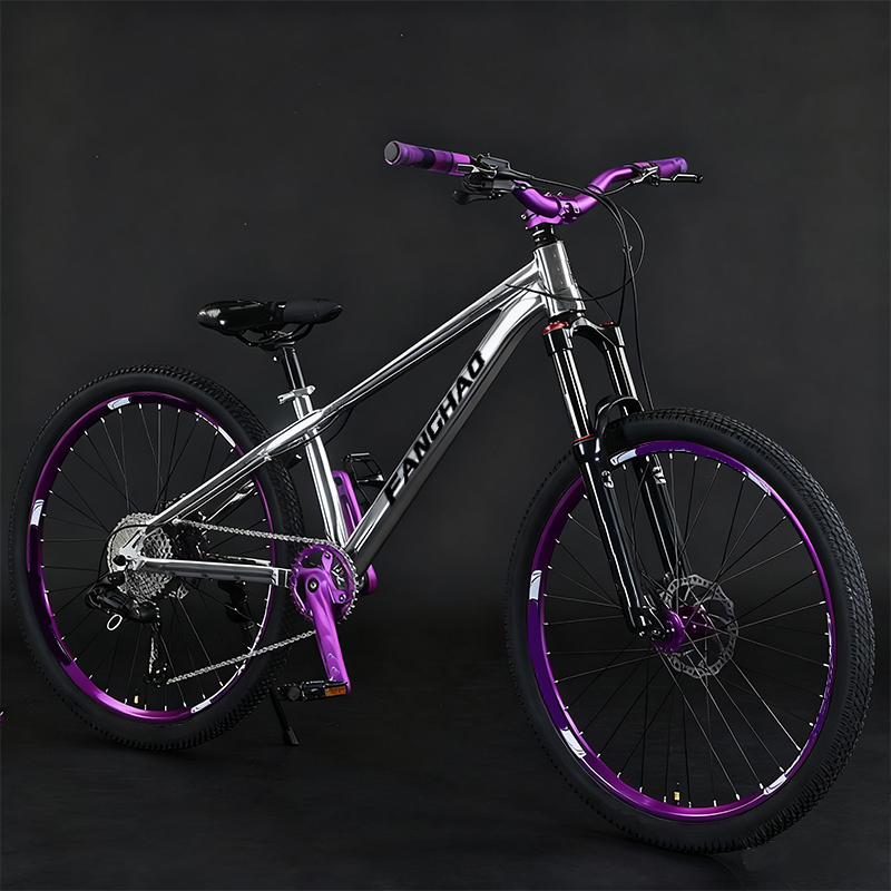 Vélo de montagne Dirt Jump 26  - Mountain Biking Jumps avis et prix