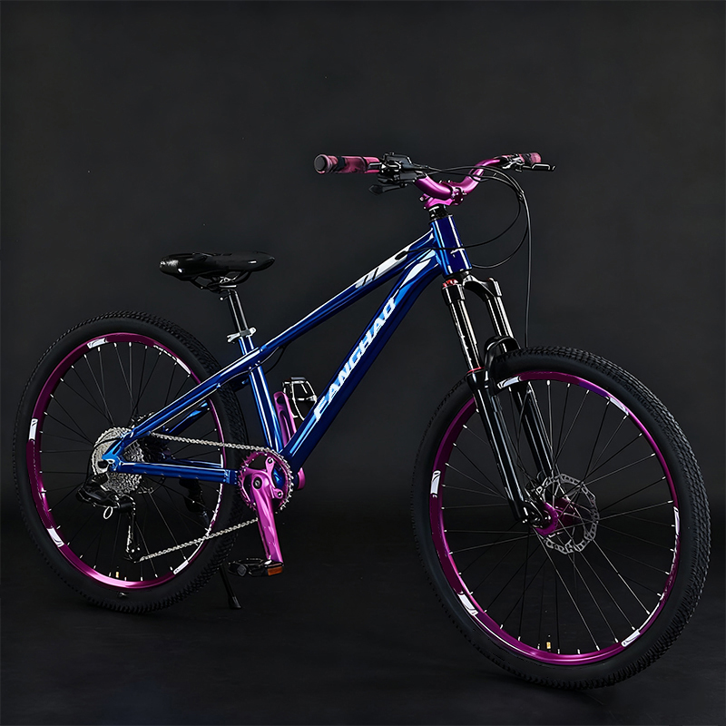 Vélo de montagne Dirt Jump 26  - Mountain Biking Jumps avis et prix