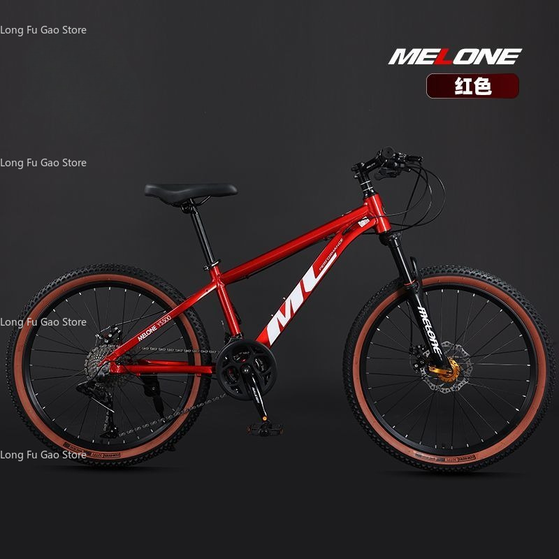 Vélo de montagne à vitesse var - Mountain Biking Youth avis et prix