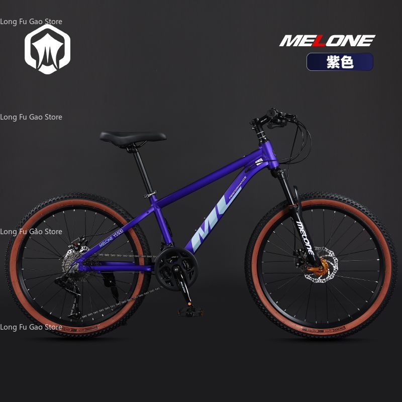 Vélo de montagne à vitesse var - Mountain Biking Youth avis et prix
